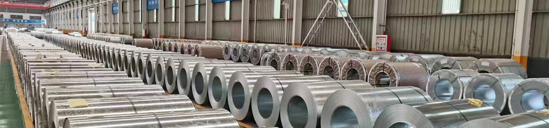 steel plate coil